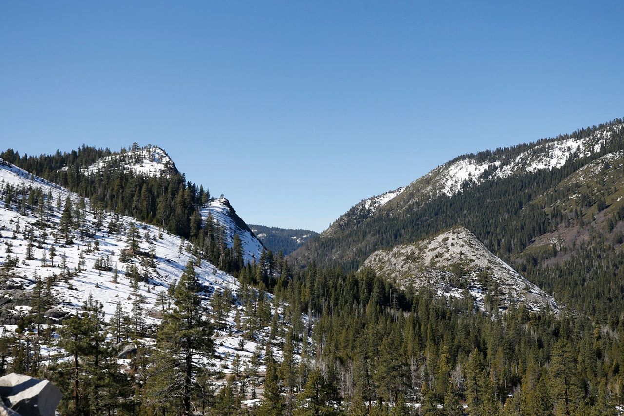 Trees and plant life that normally would be covered with snow is shown to be dotting the shrinking snow coverage in California's mountain ranges. Photo Credit: Associated Press.
